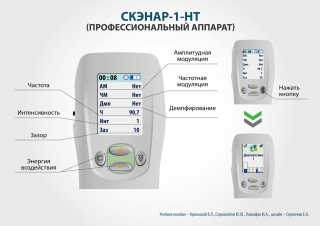 СКЭНАР-1-НТ (исполнение 01)  в Реже купить Медицинская техника - denasosteo.ru 