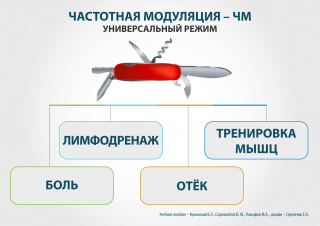 СКЭНАР-1-НТ (исполнение 01)  в Реже купить Медицинская техника - denasosteo.ru 