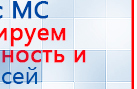 СКЭНАР-1-НТ (исполнение 01)  купить в Реже, Аппараты Скэнар купить в Реже, Медицинская техника - denasosteo.ru